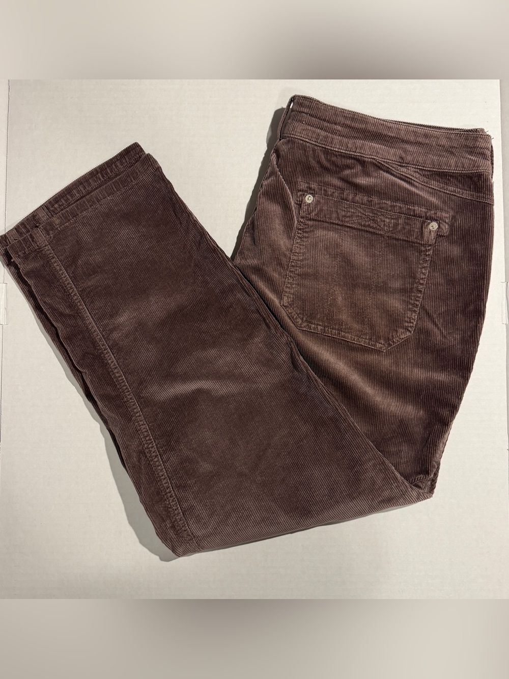 Pilcro Wanderer Brown Corduroy Pants - 34